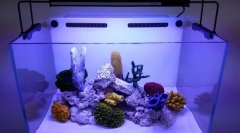 Vlastnosti príprave vody v novom akváriu