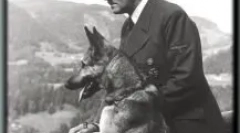 Daufman shepherd: kto je