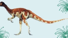Oviaptor
