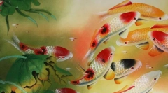 Prvé akvárium. História aquars