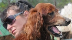 Otec z reklamy chappi: čo sa stalo s legendárnym psom