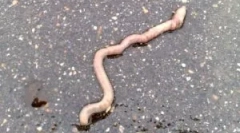 Prečo sa dažďové búrky dostanú z zeme?