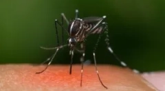 Prečo komápania uhryznú nie všetko?