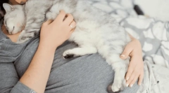 Prečo mačka spadá na človeka?