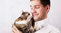 Prečo mačky ako vôňa potu?