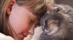 Prečo mačky obťažujú?