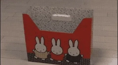 Prečo mačky milujú boxy?