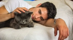 Prečo mačky vždy zaberajú hostiteľa