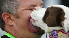 Prečo pes olizuje tvár a ruky majiteľa?