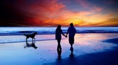 Prečo sa pes nazýva najlepší priateľ človeka