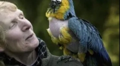 Výber najstarších zvierat žijúcich na zemi