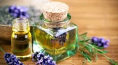 Populárne oleje z vši a gid