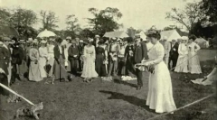 Britské a škótske plemená mačiek: spoločné funkcie a rozdiely