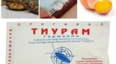 Tyram prášok z švábov