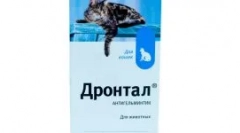 Zvýšená slinenie mačky: prečo vznáša a aké opatrenia