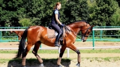 Bezpečnostné pokyny na jazdu