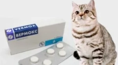 Príprava od parazitov vermoks: návod na použitie pre deti