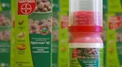 Prestige: vymenovanie a pravidlá