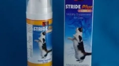 Plus liek: účinný liek na ochorenia kĺbov u mačiek