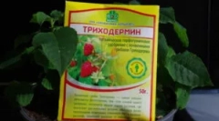 Príprava triphoodermín a pokyny pre jeho použitie
