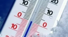 Pri ktorej teplote, blchy zomrie?