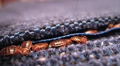 Dôvody, prečo prichádzajú chyby