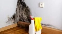 Príčiny vzhľadu plesní doma