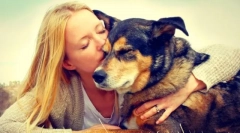 Prístrešok pre psov v moskve a moskve. Dajte svojmu životu priateľovi