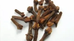 Aplikácia karafiátov z parazitov