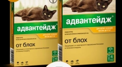 Aplikácia liekovej výhody (addalda) pre mačky