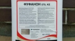 Aplikácia lieku fufanonu z ploštitu