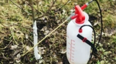 Aplikácia v záhradníctve železnej epifázy