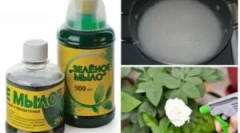 Použitie zeleného mydla z škodcov