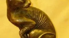 Pôvod domácej mačky