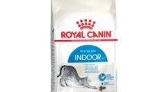 Jednoduché mačky: prečo ich milujeme