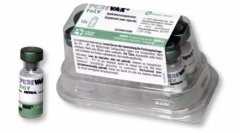 Purety pre mačky: ochrana pred infekciami