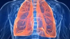 Vývoj parazitov v ľudských pľúc: príznaky a diagnostika