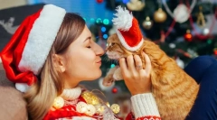 Šťastný nový rok, mačka! 14 novoročné darčekové nápady pre mačky