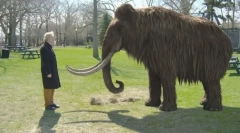 Vitajte späť: 10 vynechané zvieratá, ktoré sa môžu čoskoro vrátiť