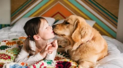 Najviac milujúce plemená psov na svete