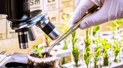 Výber, jeho úlohy, metódy a praktický význam