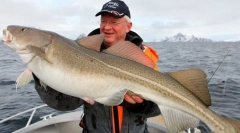 Severné rybárske ryby