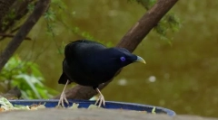 Satén v tvare piesku