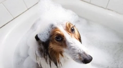 Šampóny a klimatizácia