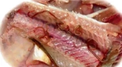 Symptómy a liečba optikorochózy