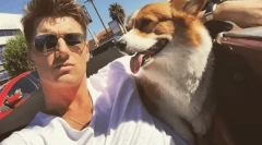 Aký druh plemena dobyl srdce alexey vorobyova?