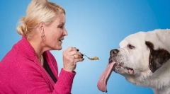 Pes s najdlhším jazykom na svete