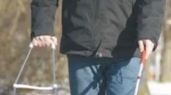 Špecializácia psov