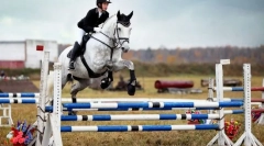 Športovci, umelci, záchranári