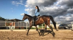 Metódy pohybu koňa